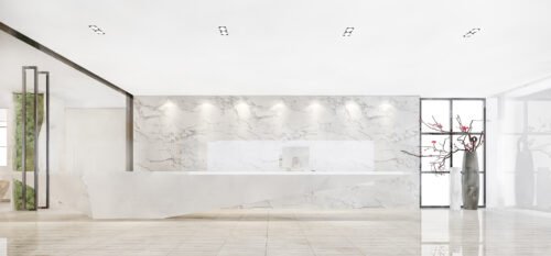 Vietnam Super White Marble